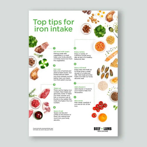 Iron Intake Fact Sheet