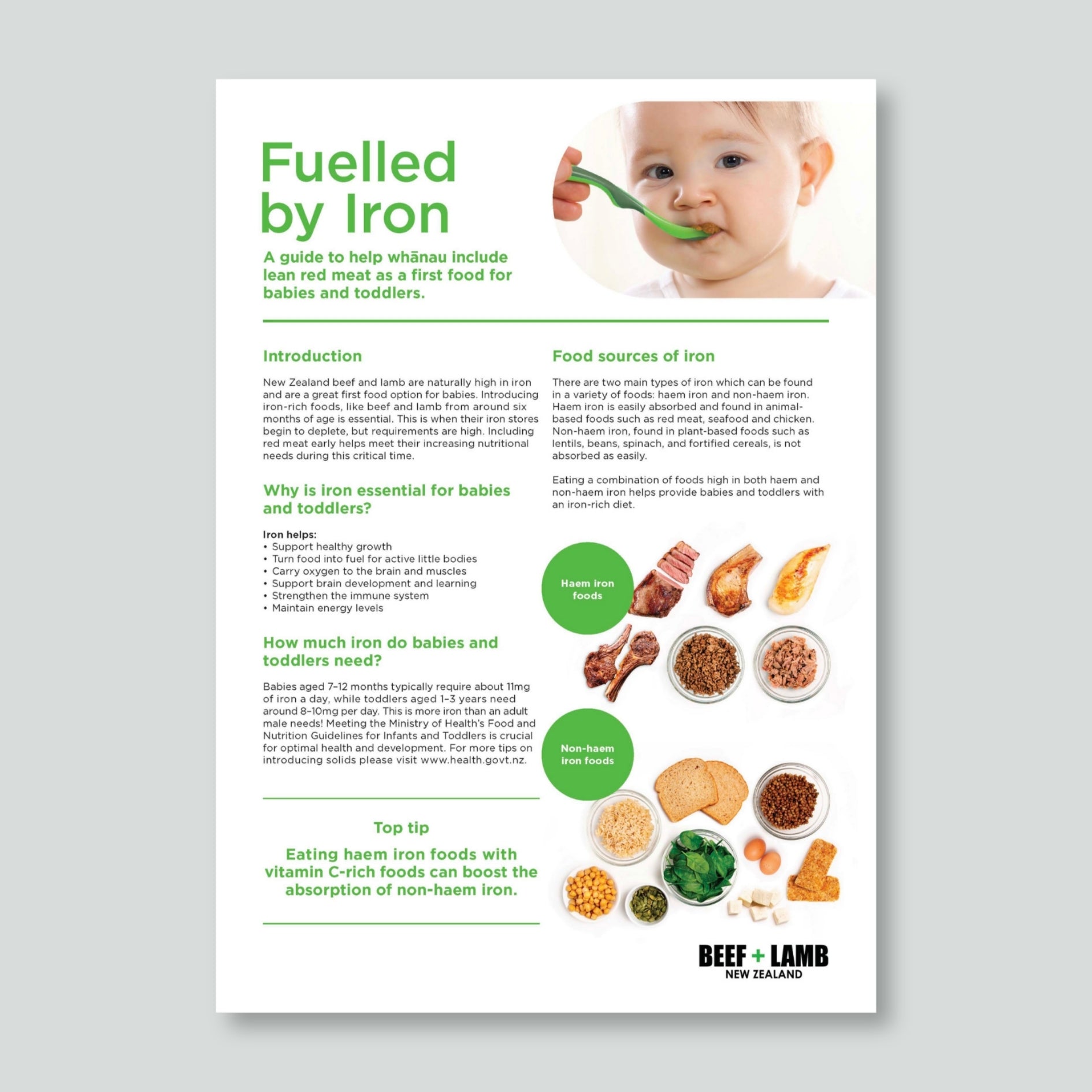 Fuelled by Iron Fact Sheet