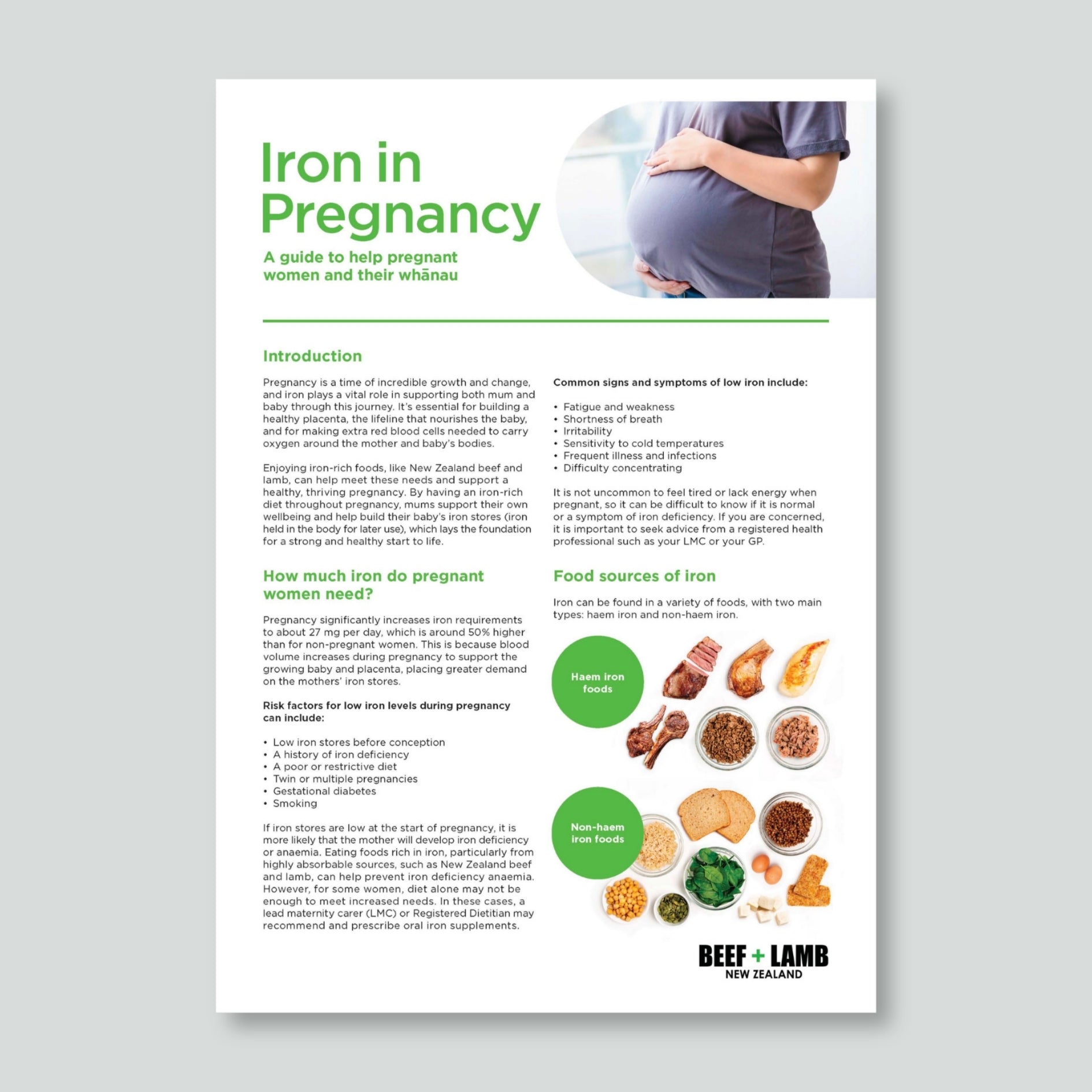 Iron in Pregnancy Fact Sheet