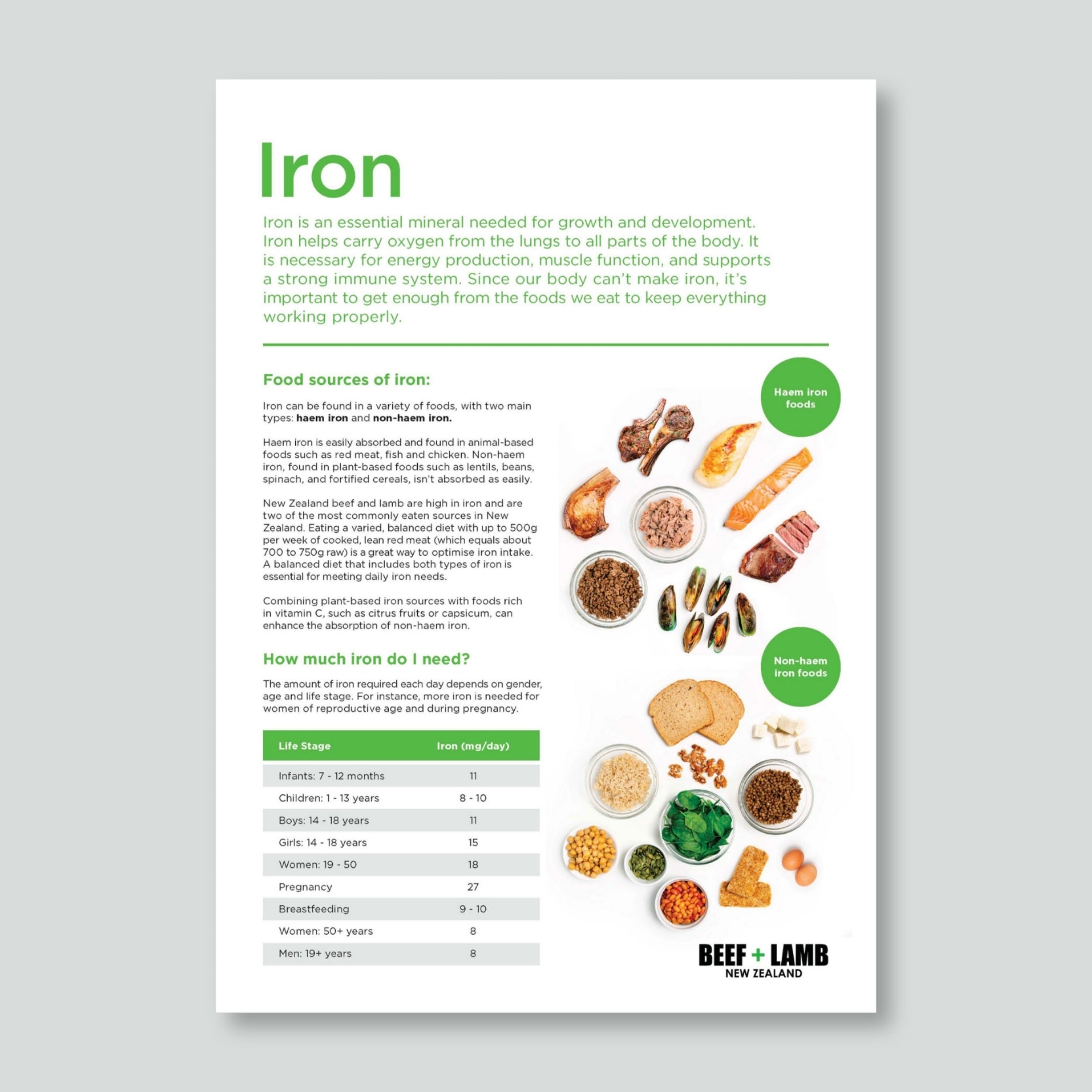 Iron Fact Sheet