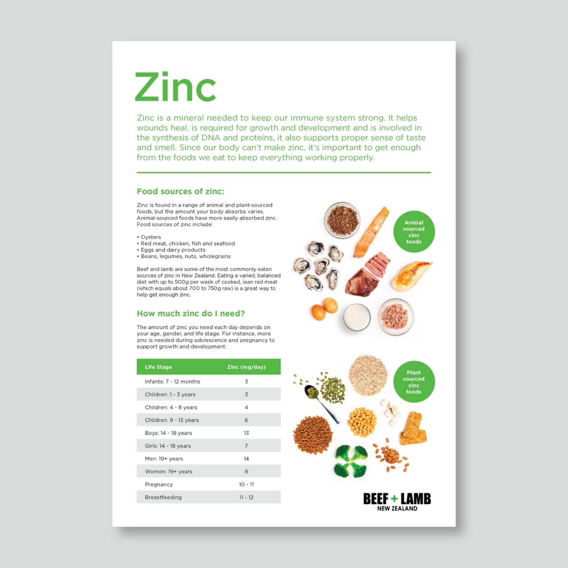Zinc Fact Sheet
