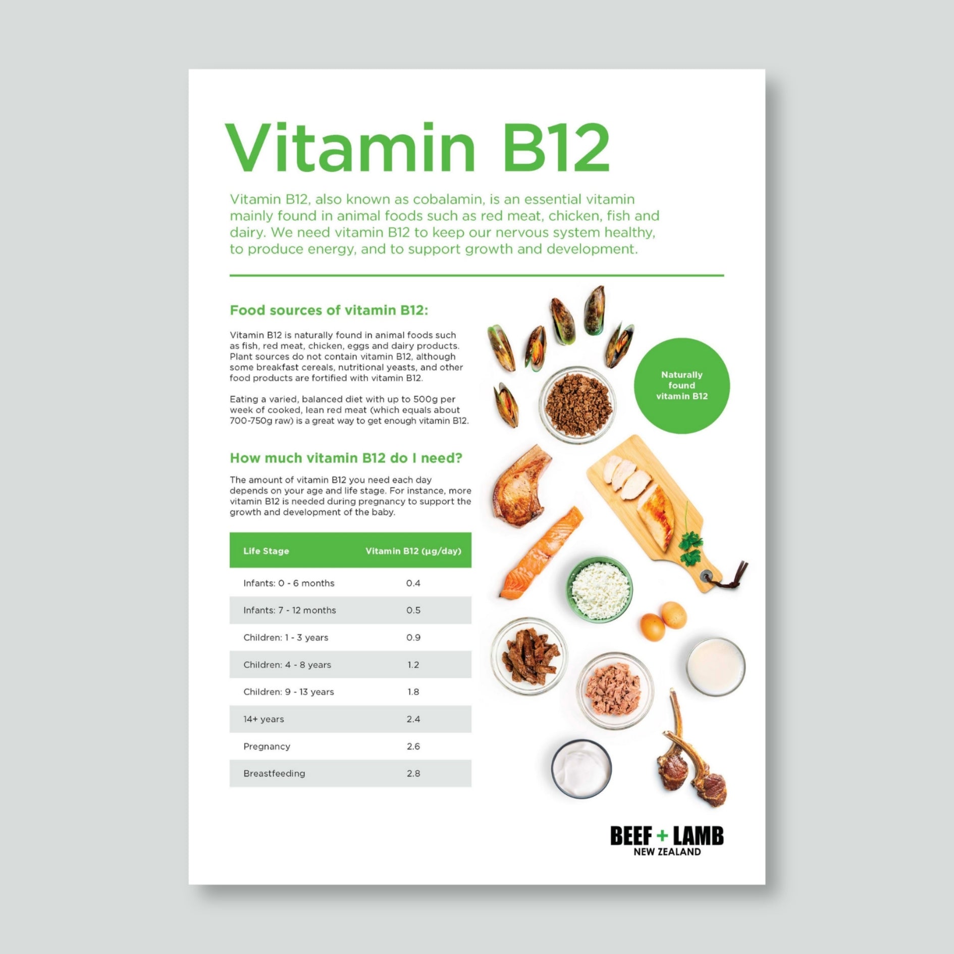 Vitamin B12 Fact Sheet