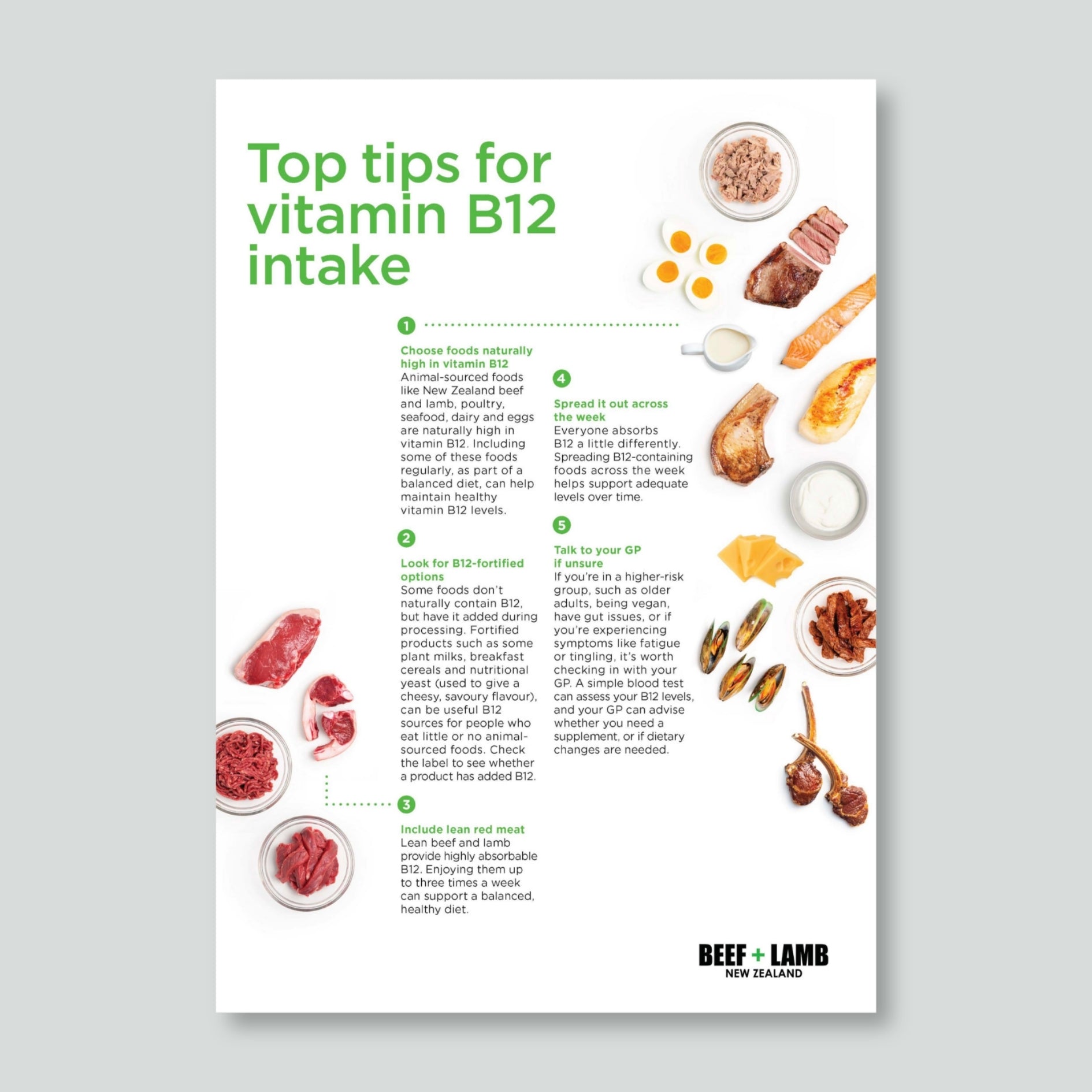 B12 Intake Fact Sheet