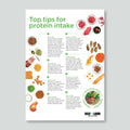 Protein Intake Fact Sheet
