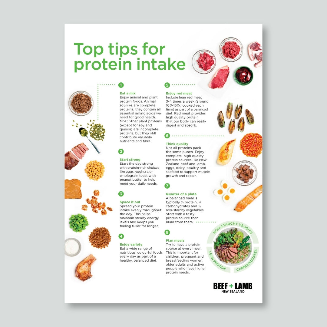 Protein Intake Fact Sheet