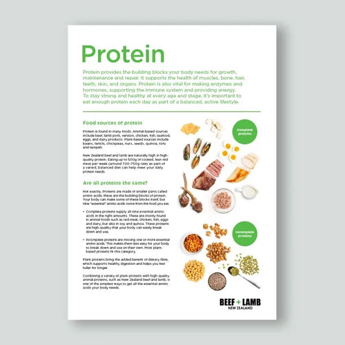Protein Fact Sheet