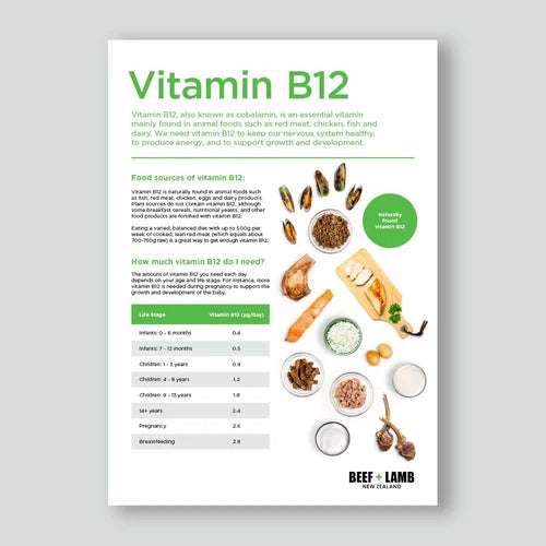 Vitamin B12 Fact Sheet