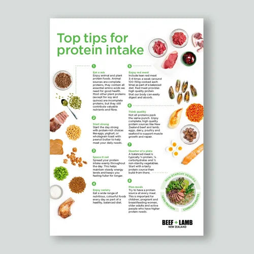 Protein Intake Fact Sheet